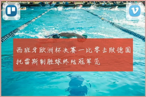 西班牙欧洲杯决赛一比零击败德国托雷斯制胜球终结冠军荒