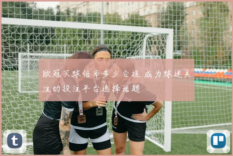 欧冠买球倍率多少合适 成为球迷关注的投注平台选择话题